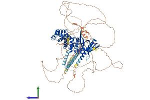 AlphaFold protein structure predicition of Mouse Recombinant Iqsec1 Protein, UniprotID Q8R0S2