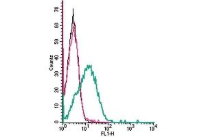 Flow Cytometry (FACS) image for anti-Calcium Channel, Voltage-Dependent, L Type, alpha 1D Subunit (CACNA1D) (AA 215-227), (Extracellular) antibody (ABIN7043002)