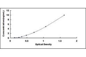 S100A10 ELISA Kit