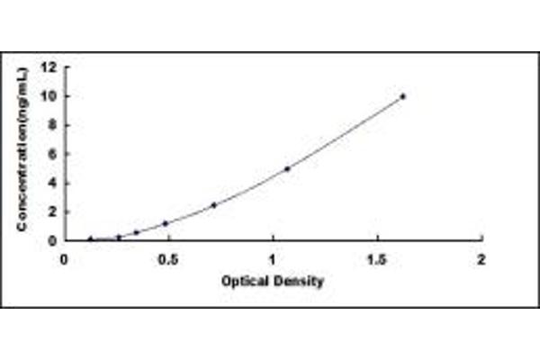 S100A10 ELISA Kit