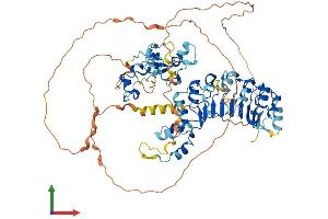 AlphaFold protein structure predicition of Mouse Recombinant Fbxl19 Protein, UniprotID Q6PB97 (FBXL19 Protein (AA 1-674) (His tag))