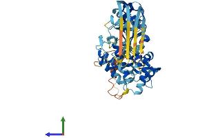 Protein Structure (PS) image for Gasdermin D (GSDMD) (AA 1-484) protein (His tag) (ABIN7548133)