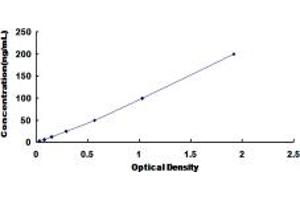 Typical standard curve (Acetyl-CoA Carboxylase alpha ELISA Kit)