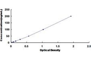 Acetyl-CoA Carboxylase alpha ELISA Kit