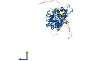 AlphaFold protein structure predicition of Human Recombinant SLCO4A1 Protein, UniprotID Q96BD0 (SLCO4A1 Protein (AA 1-722) (His tag))
