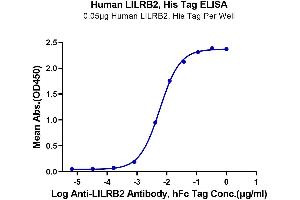 ELISA image for Leukocyte Immunoglobulin-Like Receptor, Subfamily B (With TM and ITIM Domains), Member 2 (LILRB2) (AA 22-458) protein (His-Avi Tag) (ABIN7275187)
