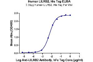 Immobilized Human LILRB2, His Tag at 0. (LILRB2 Protein (AA 22-458) (His-Avi Tag))
