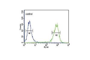 MC3R Antibody (Center) (ABIN652665 and ABIN2842446) flow cytometric analysis of K562 cells (right histogram) compared to a negative control cell (left histogram). (MC3R antibody  (AA 86-112))