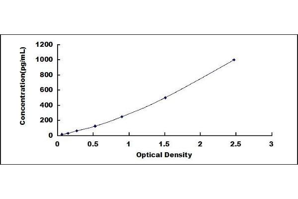 Epiregulin ELISA Kit