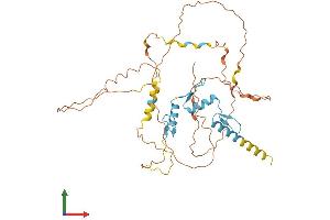 AlphaFold protein structure predicition of Human Recombinant SP5 Protein, UniprotID Q6BEB4