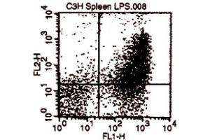 Flow Cytometry (FACS) image for anti-CD80 (CD80) antibody (ABIN951412) (CD80 antibody)