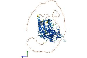 Protein Structure (PS) image for Set1/Ash2 Histone Methyltransferase Complex Subunit ASH2 (ASH2L) (AA 1-628) protein (His tag) (ABIN7552453)