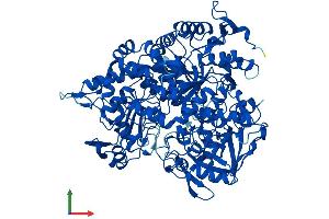 AlphaFold protein structure predicition of Mouse Recombinant Aco1 Protein, UniprotID P28271