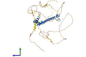AlphaFold protein structure predicition of Human Recombinant DMRTA2 Protein, UniprotID Q96SC8