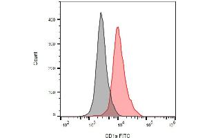 Detection of human CD1a on the surface of MOLT-4 cells (compared with blank) using anti-human CD1a FITC.