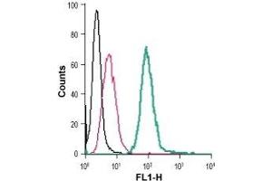 Cell surface detection of 5HT4 receptor in live intact mouse J774 macrophage cells: (black line) Cells. (Serotonin Receptor 4 antibody  (Extracellular) (FITC))