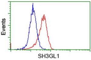 Image no. 2 for anti-SH3-Domain GRB2-Like 1 (SH3GL1) antibody (ABIN1500918) (SH3GL1 antibody)