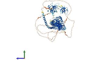 AlphaFold protein structure predicition of Human Recombinant ASAP2 Protein, UniprotID O43150 (ASAP2 Protein (AA 1-1006) (His tag))