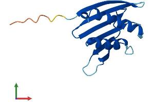 AlphaFold protein structure predicition of Mouse Recombinant Psmg4 Protein, UniprotID P0C7N9