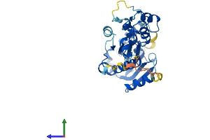 Protein Structure (PS) image for Ribonuclease H2, Subunit A (RNASEH2A) (AA 1-299) protein (His tag) (ABIN7551521)