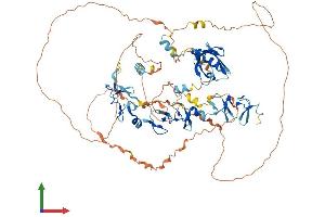 AlphaFold protein structure predicition of Human Recombinant LDB3 Protein, UniprotID O75112 (LIM Domain Binding 3 Protein Protein (AA 1-727) (His tag))