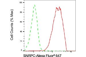 Flow cytometric analysis of SNRPC expression in HAP-1 cells using SNRPC antibody (ABIN7800380), 1:2,000). (Recombinant SNRPC antibody)