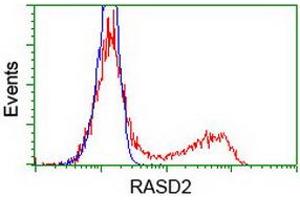 HEK293T cells transfected with either RC201454 overexpress plasmid (Red) or empty vector control plasmid (Blue) were immunostained by anti-RASD2 antibody (ABIN2453962), and then analyzed by flow cytometry. (RASD2 antibody)