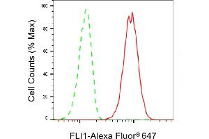 Flow cytometric analysis of FLI1 expression in HT- cells using FLI1 antibody (ABIN7798660), 1:2,000). (Recombinant FLI1 antibody)