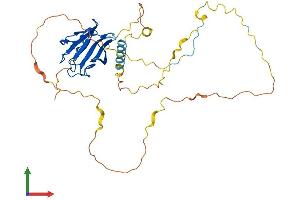 Protein Structure (PS) image for Protein Phosphatase 1, Regulatory Subunit 8 (PPP1R8) (AA 1-351) protein (His tag) (ABIN7550911)