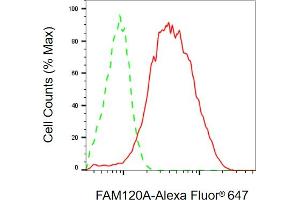 Flow cytometric analysis of FAM120A expression in HepG2 cells using FAM120A antibody (ABIN7798558), 1:2,000). (FAM120A antibody)