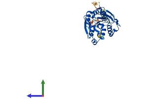 AlphaFold protein structure predicition of Human Recombinant ABHD14A Protein, UniprotID Q9BUJ0 (ABHD14A Protein (AA 1-271) (His tag))