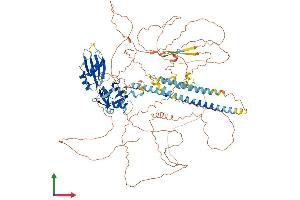 AlphaFold protein structure predicition of Mouse Recombinant Akap17b Protein, UniprotID A2A3V1 (AKAP17B Protein (AA 1-959) (His tag))