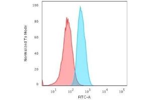 Flow Cytometric Analysis of T98G cells using GAD1 (GAD67) Mouse Monoclonal Antibody (GAD1/2563) followed by Goat anti-Mouse IgG-CF488 (Blue); Isotype Control (Red). (GAD antibody  (AA 72-135))