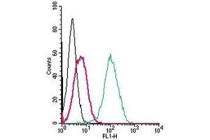 Cell surface detection of S1PR5 by indirect flow cytometry in live intact human THP-1 monocytic leukemia cells:  (black line) Cells. (S1PR5 antibody  (Extracellular, N-Term))