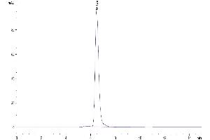 The purity of Biotinylated Human Axl is greater than 95 % as determined by SEC-HPLC. (AXL Protein (AA 26-449) (Fc Tag,Biotin))