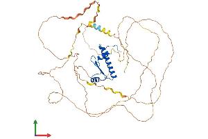 Protein Structure (PS) image for Myocyte Enhancer Factor 2D (MEF2D) (AA 1-521) protein (His tag) (ABIN7554510)