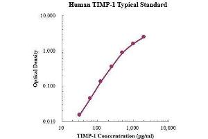 ELISA image for TIMP Metallopeptidase Inhibitor 1 (TIMP1) ELISA Kit (ABIN3198616)