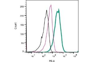 Cell surface detection of GPR171 by direct flow cytometry in live intact human Jurkat T-cell leukemia cells: + Rabbit IgG isotype control-PE (ABIN7582046). (GPR171 antibody  (Extracellular) (PE))