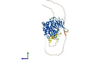 AlphaFold protein structure predicition of Mouse Recombinant Chek2 Protein, UniprotID Q9Z265 (CHEK2 Protein (AA 1-546) (His tag))