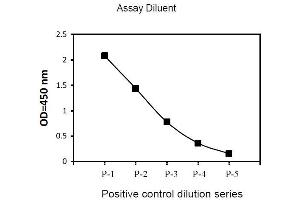 Image no. 1 for Epidermal Growth Factor Receptor (EGFR) ELISA Kit (ABIN1981716) (EGFR ELISA Kit)