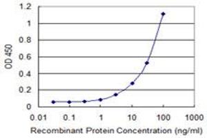 Detection limit for recombinant GST tagged MAFA is 1 ng/ml as a capture antibody. (MAFA antibody  (AA 222-308))