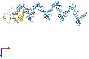 AlphaFold protein structure predicition of Human Recombinant ZNF605 Protein, UniprotID Q86T29
