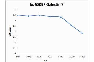 Formalin-fixed and paraffin embedded rat skin labeled with Anti-Galectin 7 Polyclonal Antibody, Unconjugated (ABIN715076) at 1:200 followed by conjugation to the secondary antibody and DAB staining (LGALS7 antibody  (AA 31-100))