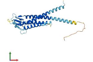 AlphaFold protein structure predicition of Mouse Recombinant Lhfpl4 Protein, UniprotID Q5U4E0