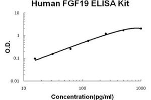 Human FGF19 PicoKine ELISA Kit standard curve (FGF19 ELISA Kit)