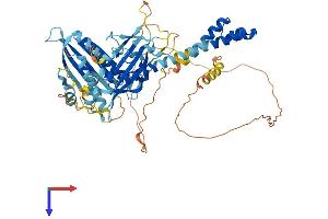 Chromosome 11 Open Reading Frame 80 (C11ORF80) (AA 1-579) protein (His tag)