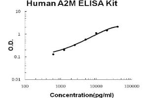 Human A2M/alpha2-Macroglobulin Accusignal ELISA Kit Human A2M/alpha2-Macroglobulin AccuSignal ELISA Kit standard curve. (alpha 2 Macroglobulin ELISA Kit)