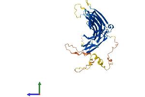 AlphaFold protein structure predicition of Mouse Recombinant Arrdc4 Protein, UniprotID A0A0B4J1F4 (ARRDC4 Protein (AA 1-415) (His tag))