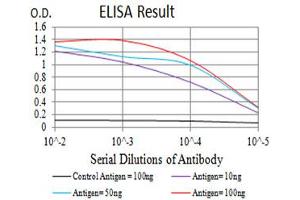 Black line: Control Antigen (100 ng),Purple line: Antigen (10 ng), Blue line: Antigen (50 ng), Red line:Antigen (100 ng) (Integrin beta 4 antibody  (AA 29-206))