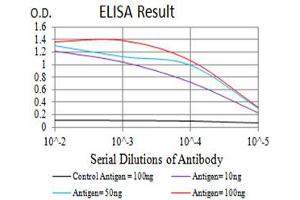 Black line: Control Antigen (100 ng),Purple line: Antigen (10 ng), Blue line: Antigen (50 ng), Red line:Antigen (100 ng) (Integrin beta 4 antibody  (AA 29-206))